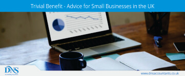 Trivial Benefit an Advice for Small Businesses