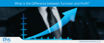 What is the Difference between Turnover and Profit ?